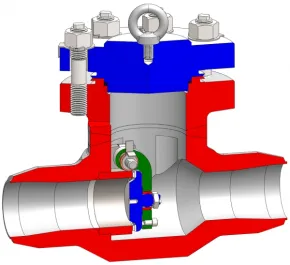 Swing check valve A43